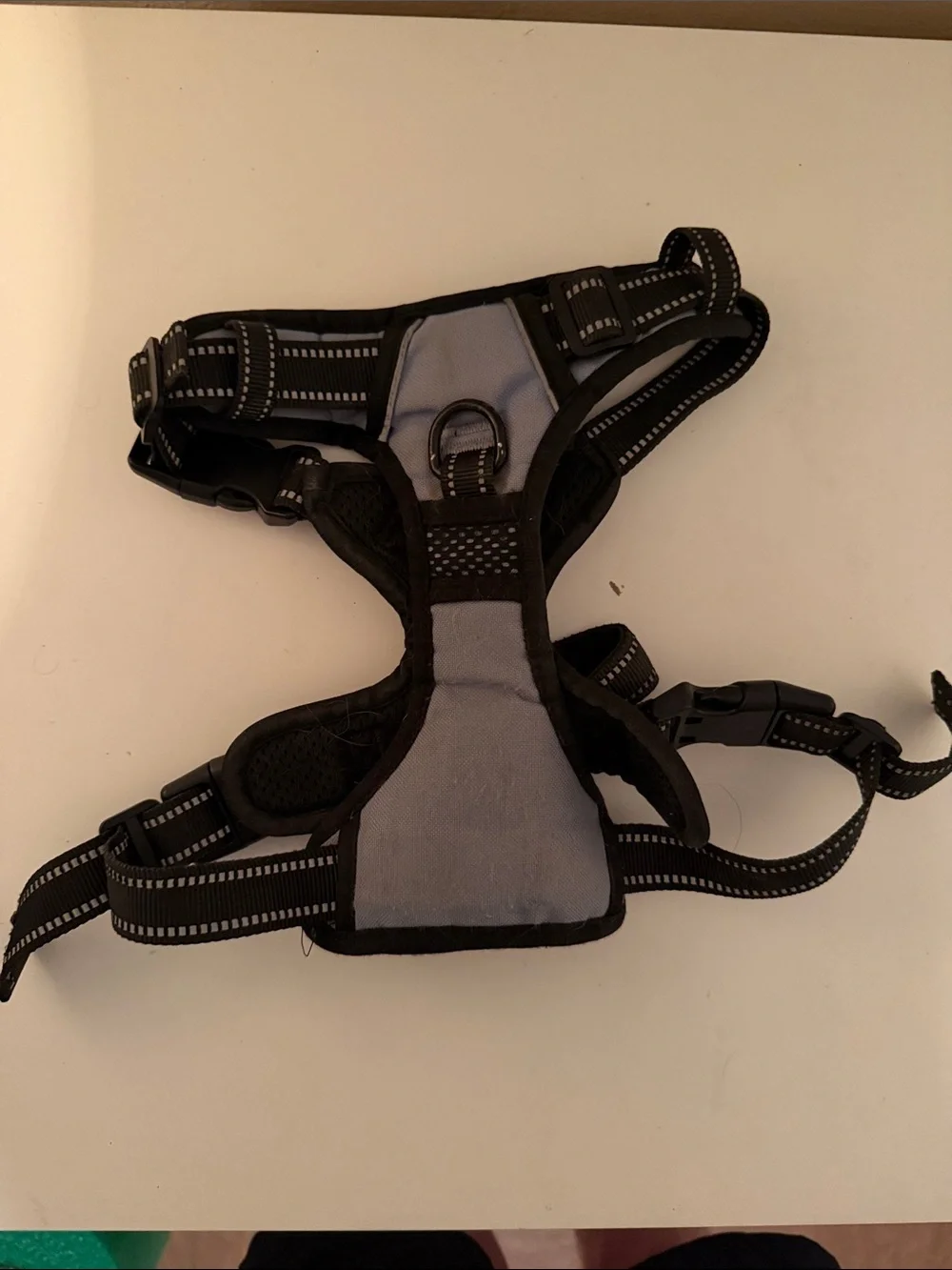 Adjustable No-Pull Dog Harness in Blue and Black - Medium